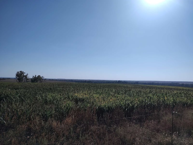 00000 E Wheat Dr, Sylvan Grove, KS 67481