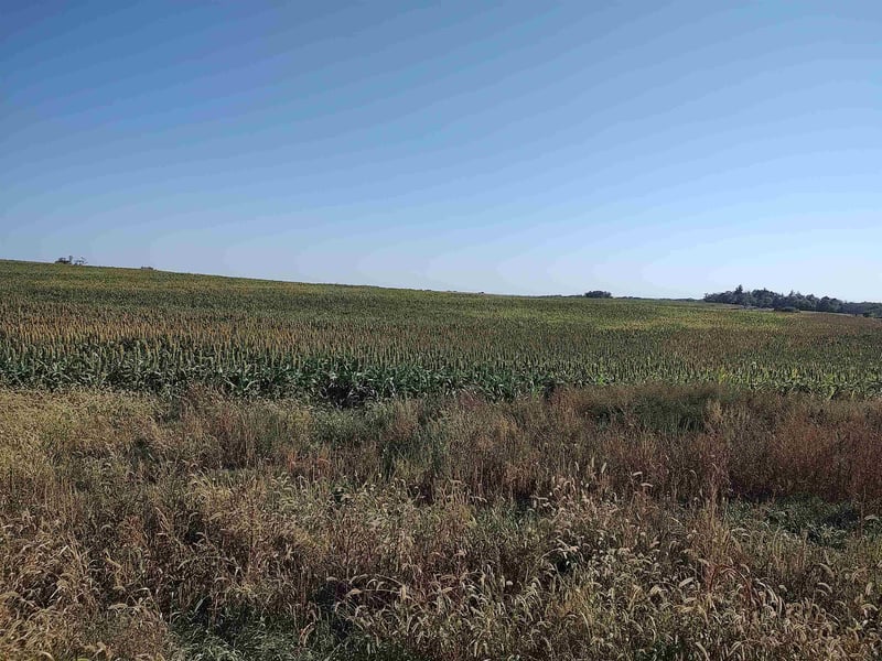 00000 E Wheat Dr, Sylvan Grove, KS 67481
