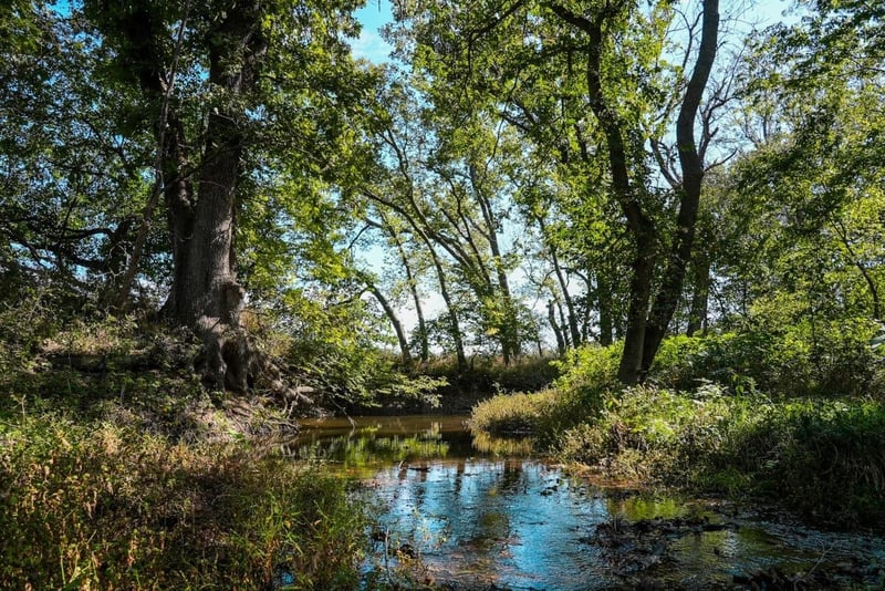 000 SE Stony Creek Rd, Rosalia, KS 67132