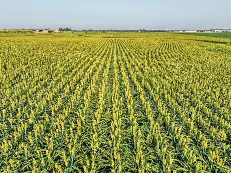 000 Kiowa Rd, Mcpherson, KS 67460