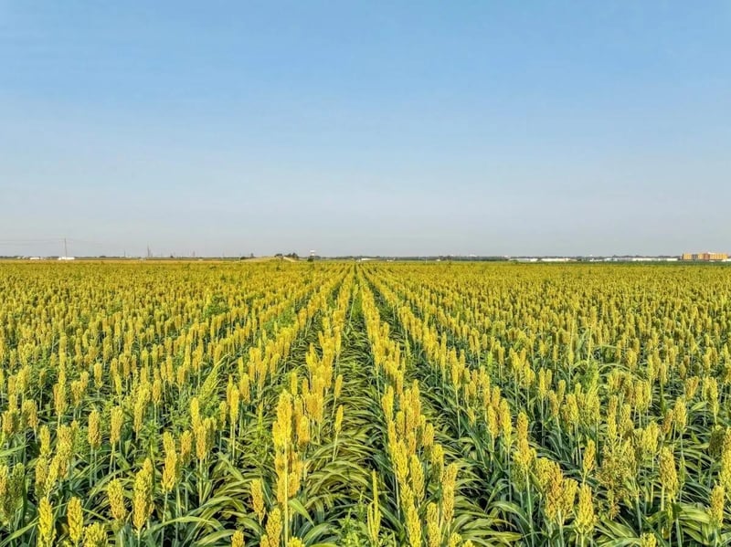 000 Kiowa Rd, Mcpherson, KS 67460