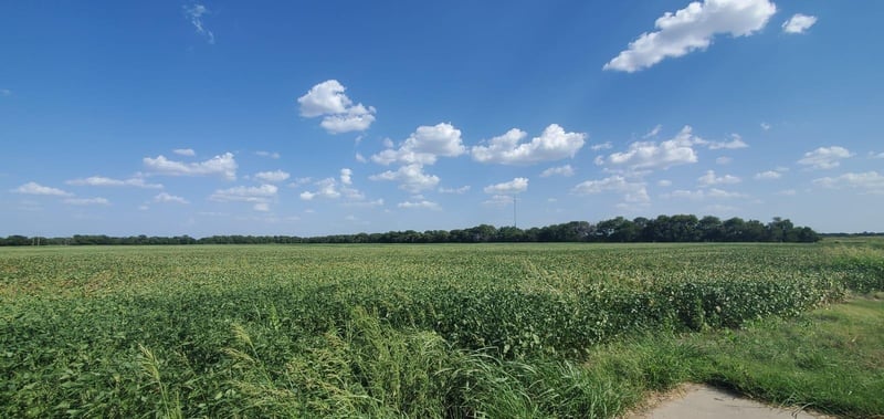 TBD Meridian , Wichita, KS 67217