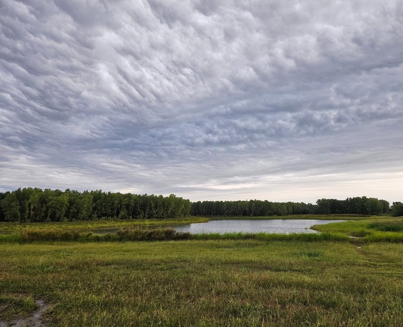 LOT 28 BLOCK 2 W Pebble St, Maize, KS 67101