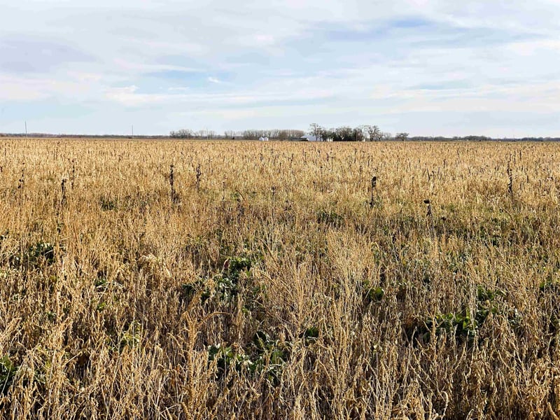 00000 Kipp Rd, New Cambria, KS 67470