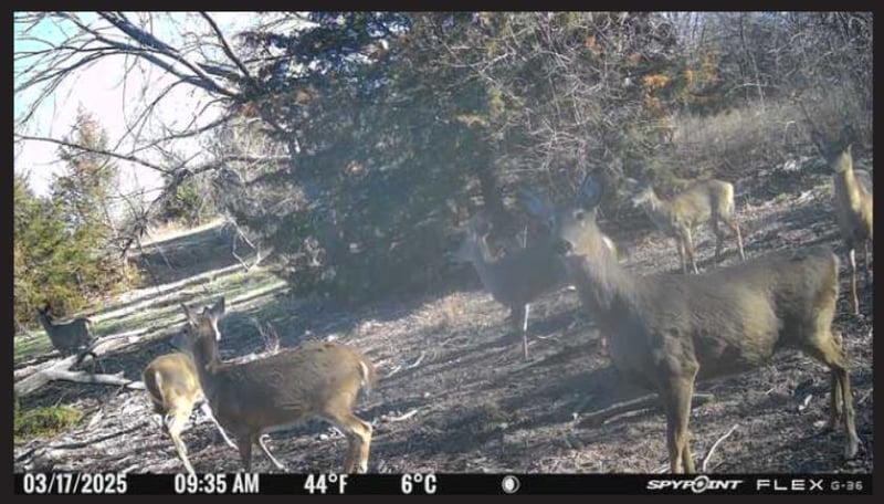 0000 Aspen Rd, Culver, KS 67484