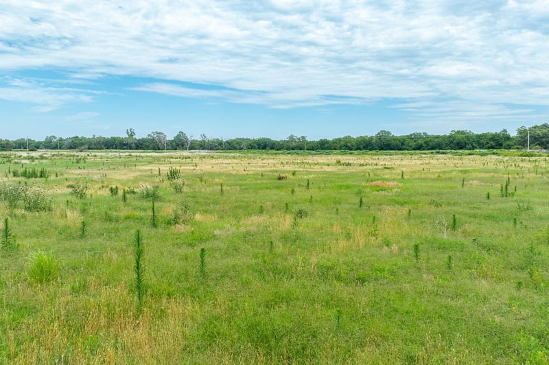 65.88 +/ Acres N 279th St W, Mount Hope, KS 67108