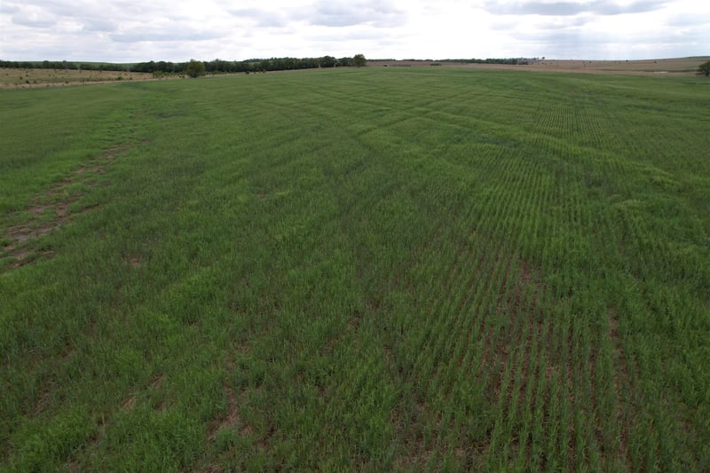0000 Daisy Rd, Carlton, KS 67448