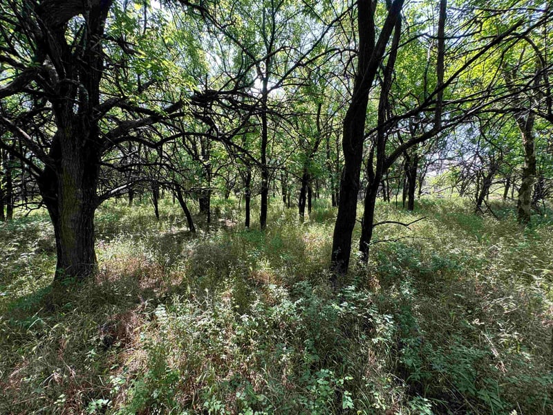 251 Z50 Rd, Fall River, KS 67047
