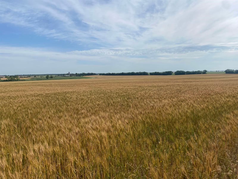 00000 E 40th Ave N, Wellington, KS 67152