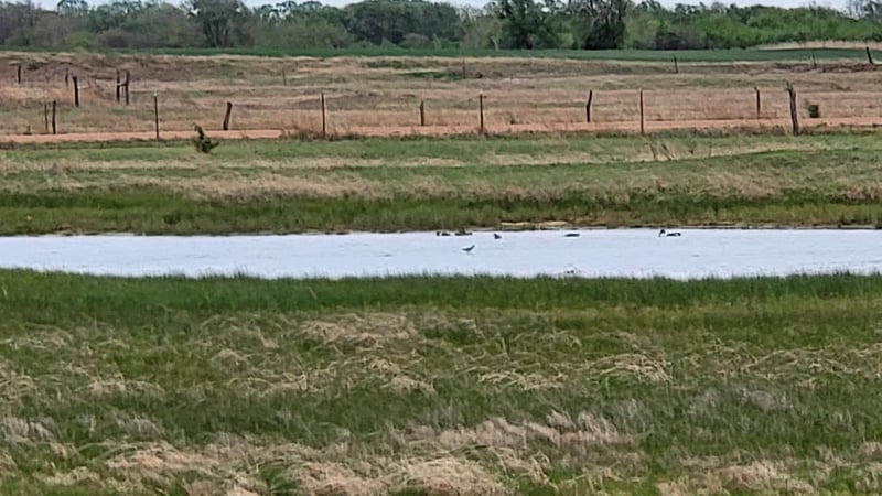 0 Se 140 Ave, Cheney, KS 67025