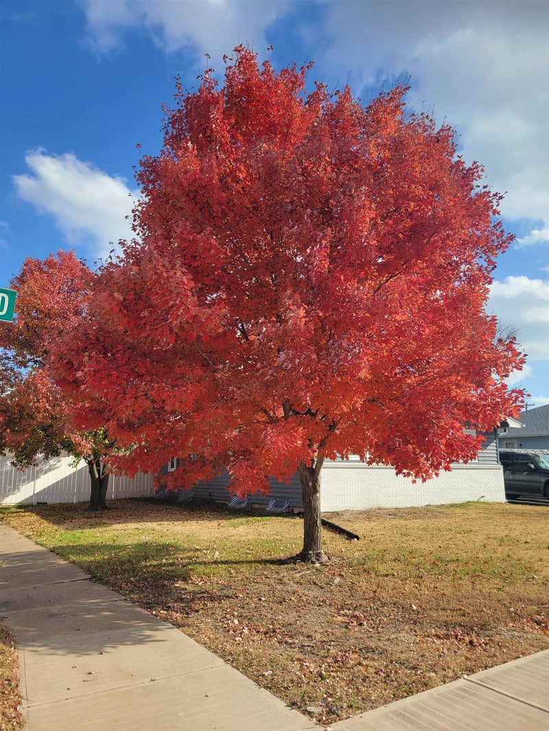 2605 Robin Rd, Salina, KS 67401