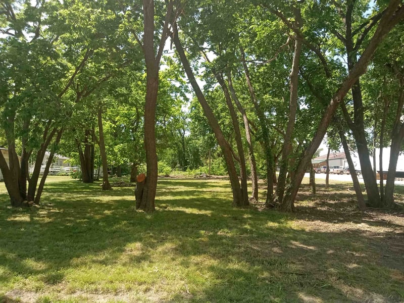101 Walnut , Halstead, KS 67056