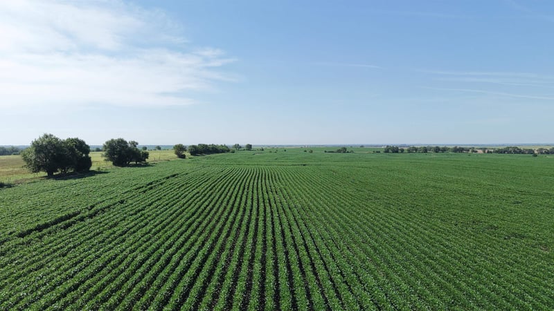 00000 Dove Rd, Solomon, KS 67480
