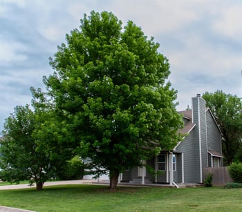 5515 E Pembrook, Wichita, KS 67220