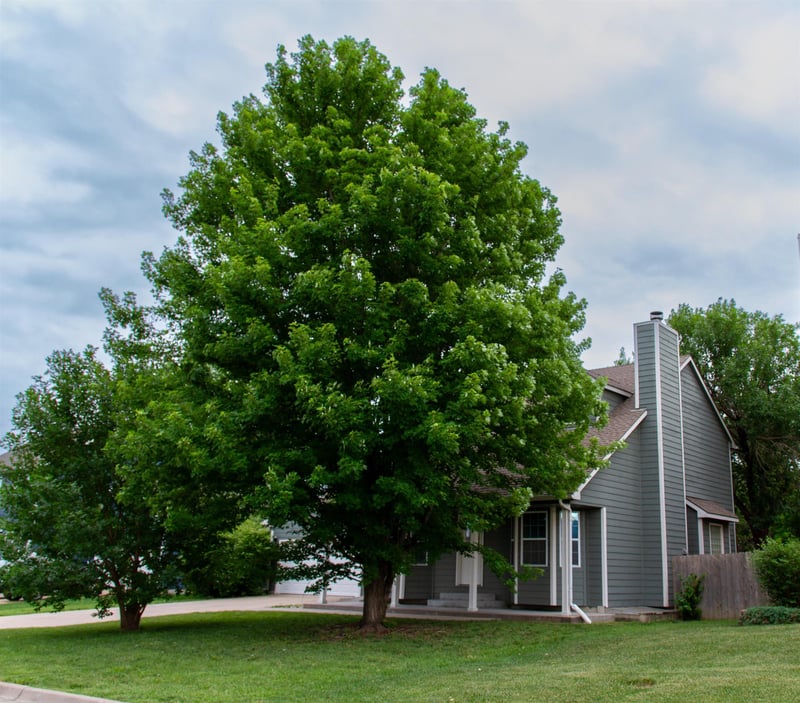 5515 Pembrook , Wichita, KS 67220
