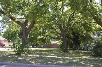 1802 S Lulu, Wichita, KS 67211