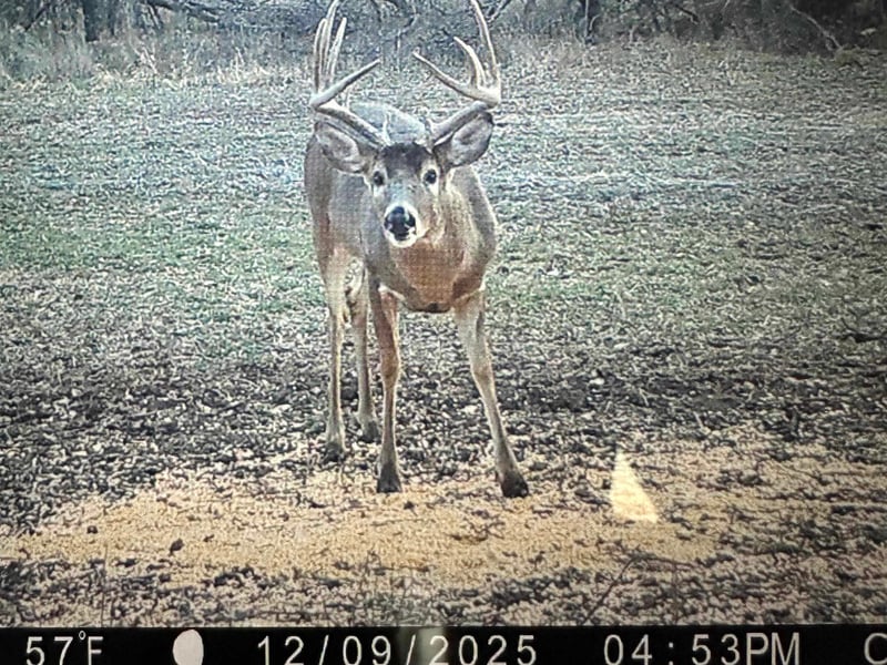 2375 Camp Rd, Miltonvale, KS 67466