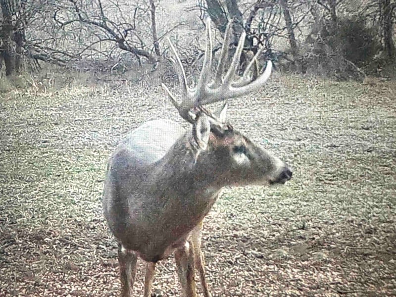 2375 Camp Rd, Miltonvale, KS 67466