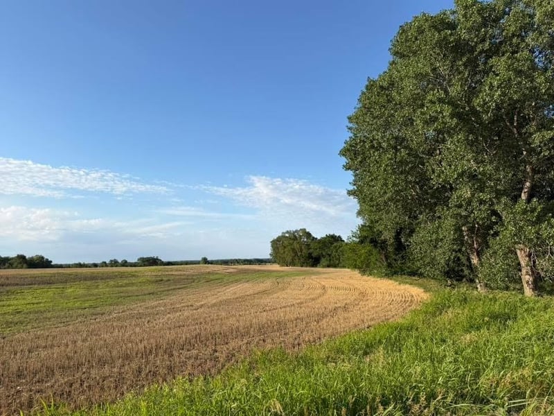 170th St, Spivey, KS 67142