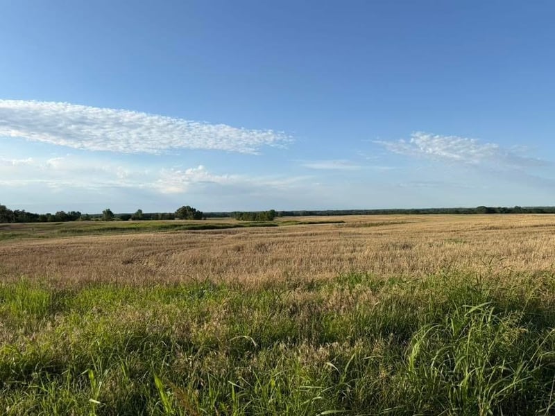 170th St, Spivey, KS 67142