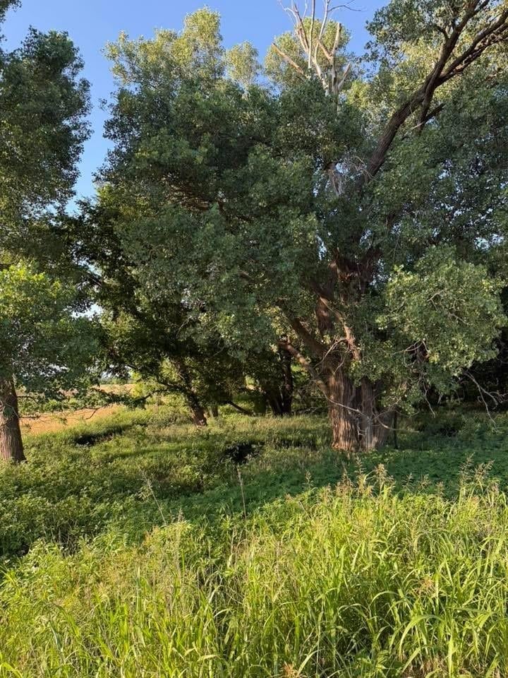 170th St, Spivey, KS 67142