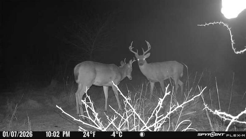 00000 Center , Beloit, KS 67420