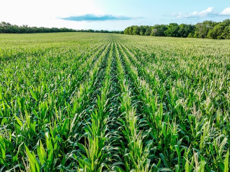 000 County Line Rd, Benton, KS 67017