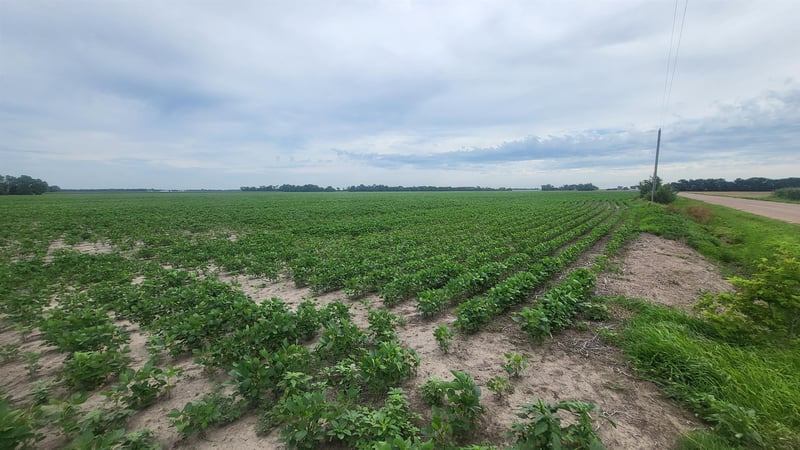 0000 22nd Avenue & Eisenhower Rd, Moundridge, KS 67107