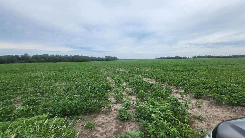 0000 22nd Avenue & Eisenhower Rd, Moundridge, KS 67107