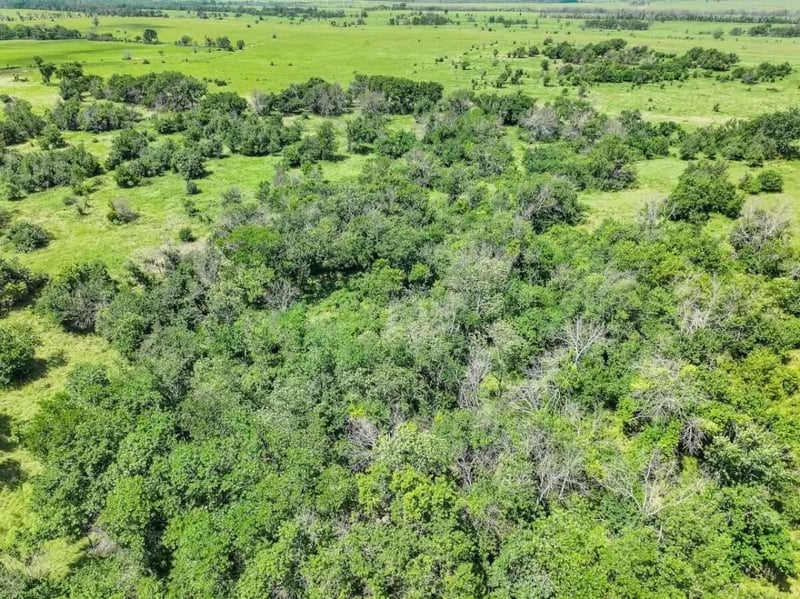 000 Road 12 , Piedmont, KS 67122