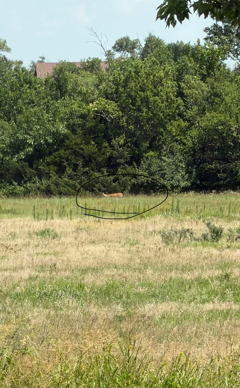 11857 SW 160th St, Rose Hill, KS 67133