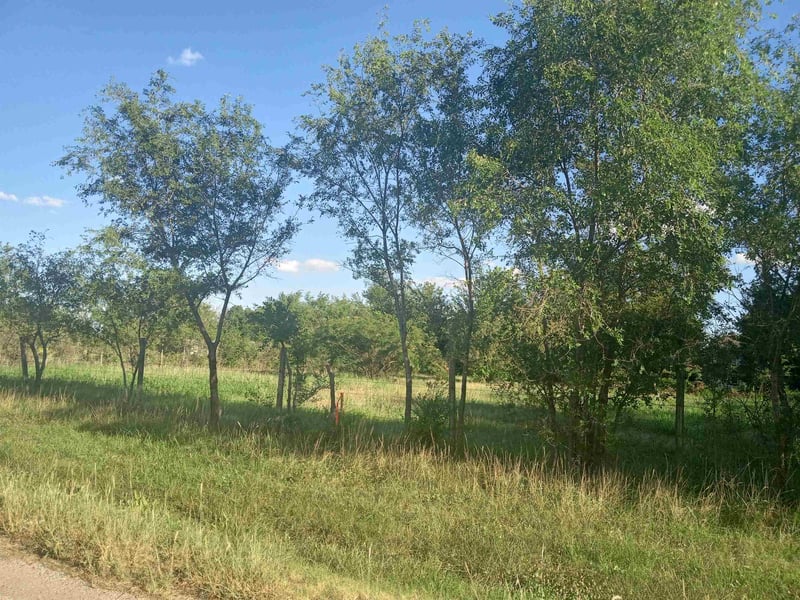 402 Center , Burrton, KS 67020