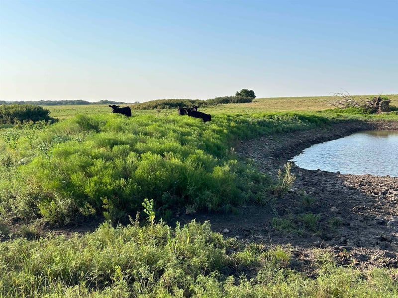 72nd , Winfield, KS 67156