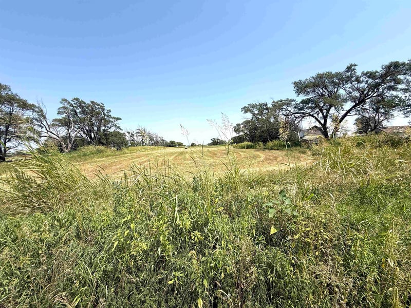 1003 N Springfield Ave, Anthony, KS 67003