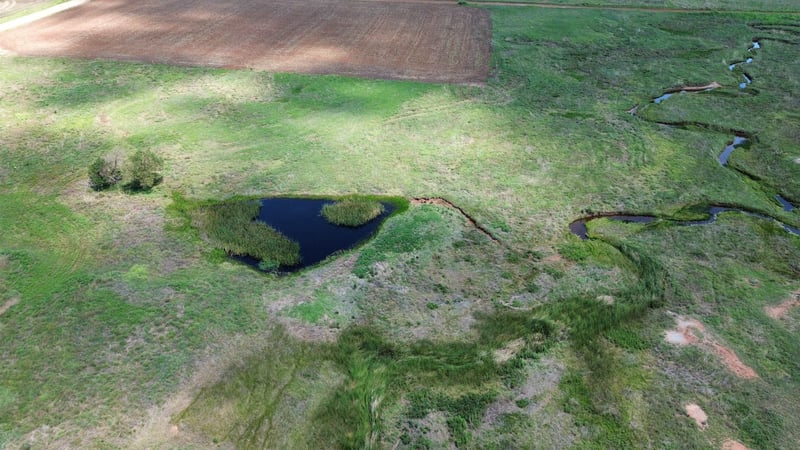 Argonia Rd, Caldwell, KS 67022