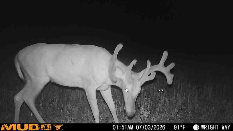 Argonia Rd, Caldwell, KS 67022