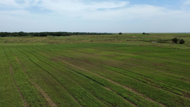 S Argonia Rd, Caldwell, KS 67022