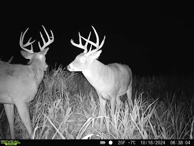 0000 5th Rd, Raymond, KS 67573