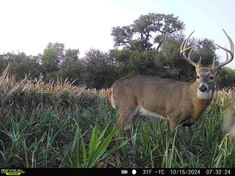 0000 5th Rd, Raymond, KS 67573