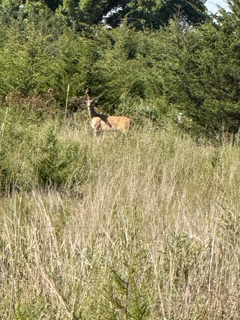 0 SW Purity Springs Rd, El Dorado, KS 67042