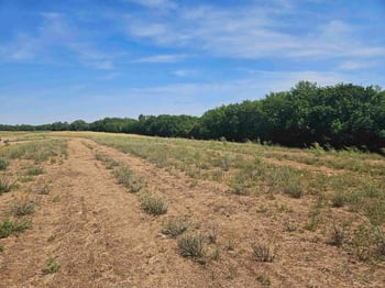 526 N Foresthills Ct Lot 21, Block A, Vista Ridge 2nd Addition, Andover, KS 67002
