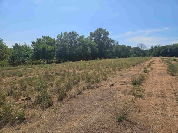 1639 E Ridgecreek St Lot 27, Block A, Vista Ridge 2nd Addition, Andover, KS 67002