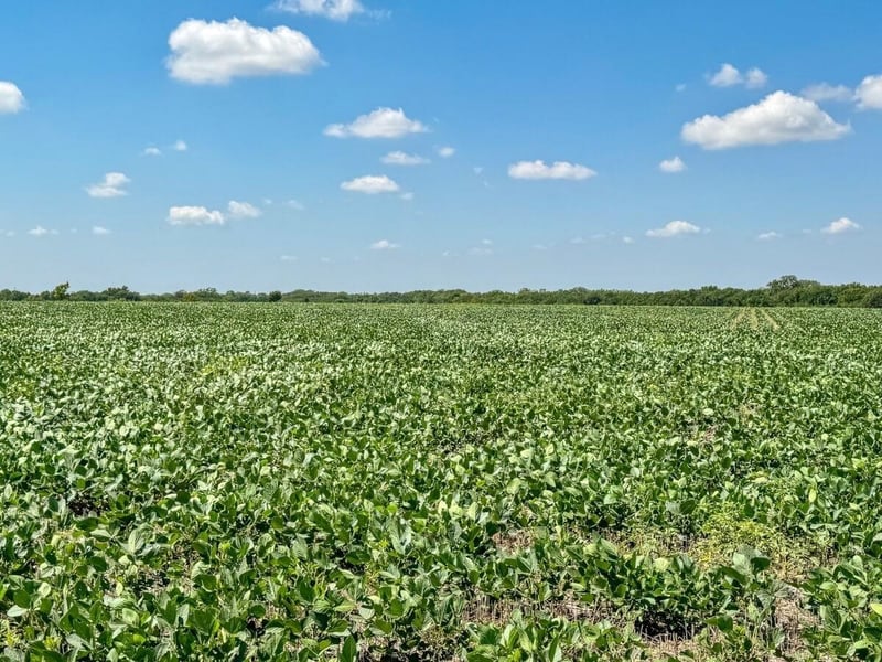 8547 SE 20th St Tract 1 of 2, Rosalia, KS 67132