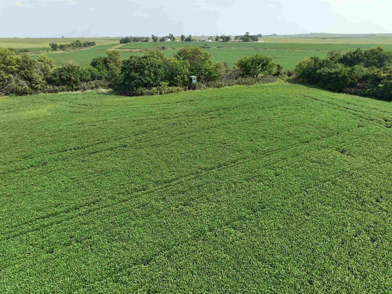 0 Coyote Rd, Gridley, KS 66852