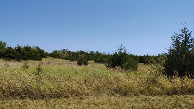 555 E 77th Ave North, Wellington, KS 67152