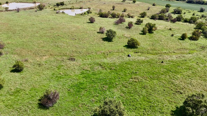 SEc of NW Hoch Rd & Nw 94th St Tract 1, Silver Lake, KS 66539