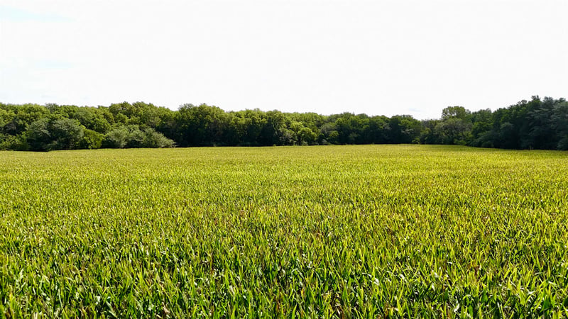 NEc of NW Hoch Rd & Nw 86th St Tract 3, Silver Lake, KS 66539
