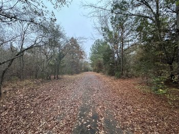 6229 County Rd 21, Tyler, TX 75707