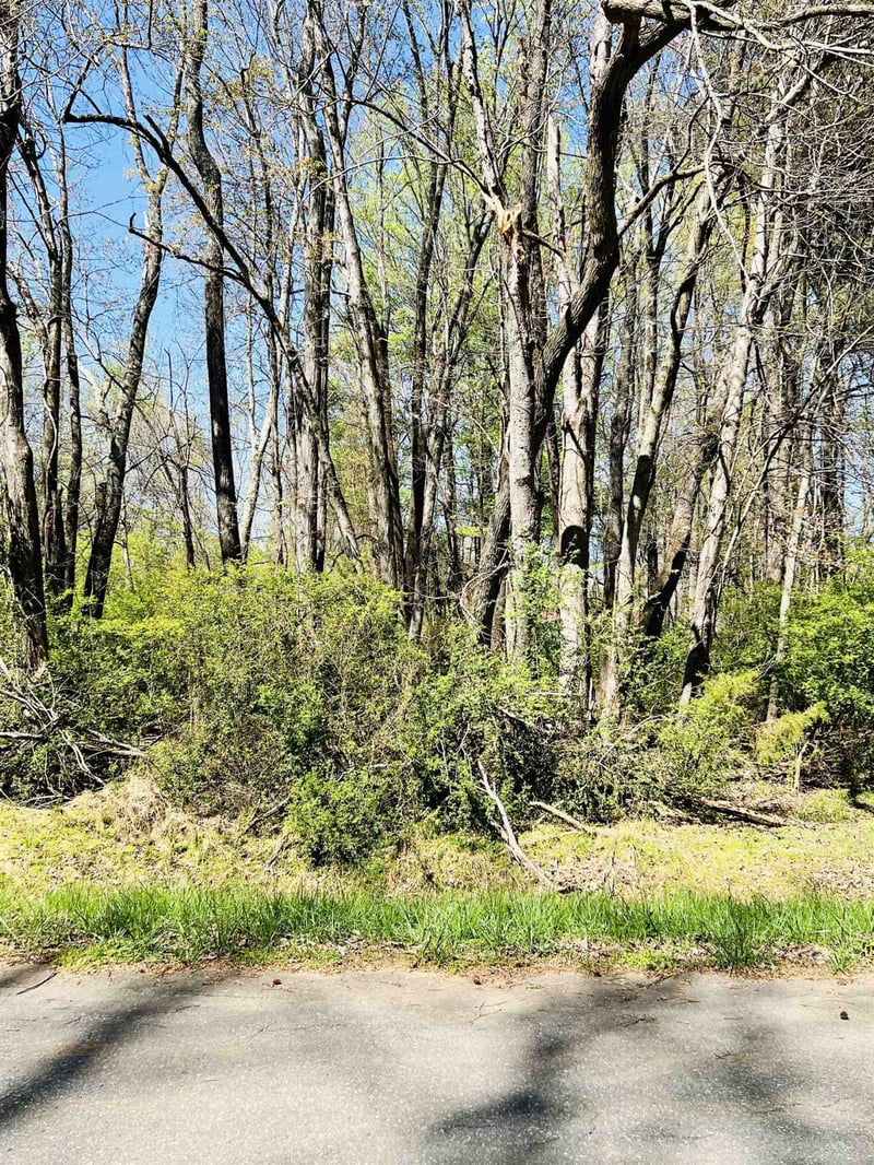 0 W Dameron Ave Lot N/A, Liberty, NC 27298