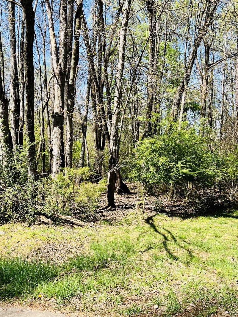 0 W Dameron Ave Lot N/A, Liberty, NC 27298